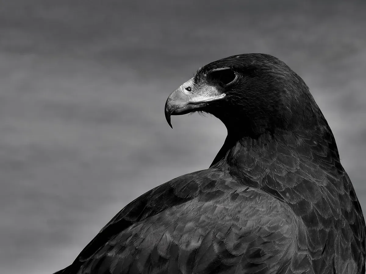 Interests and Hobbies photographs